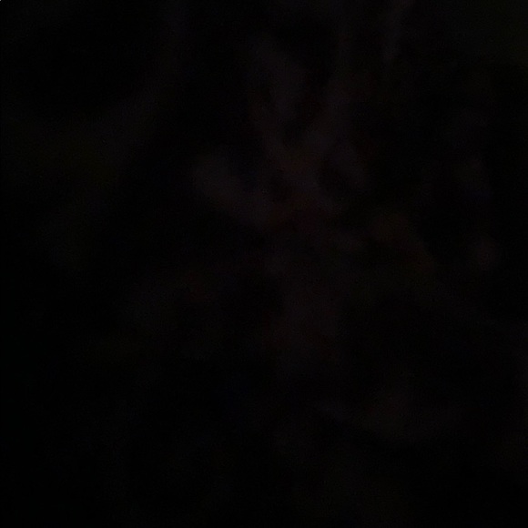 josiedeannnn